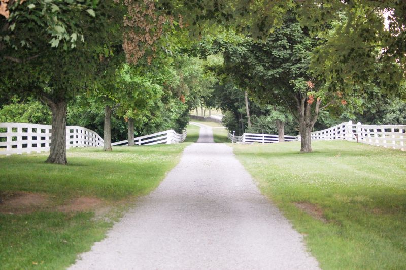 Gravel Driveway Service